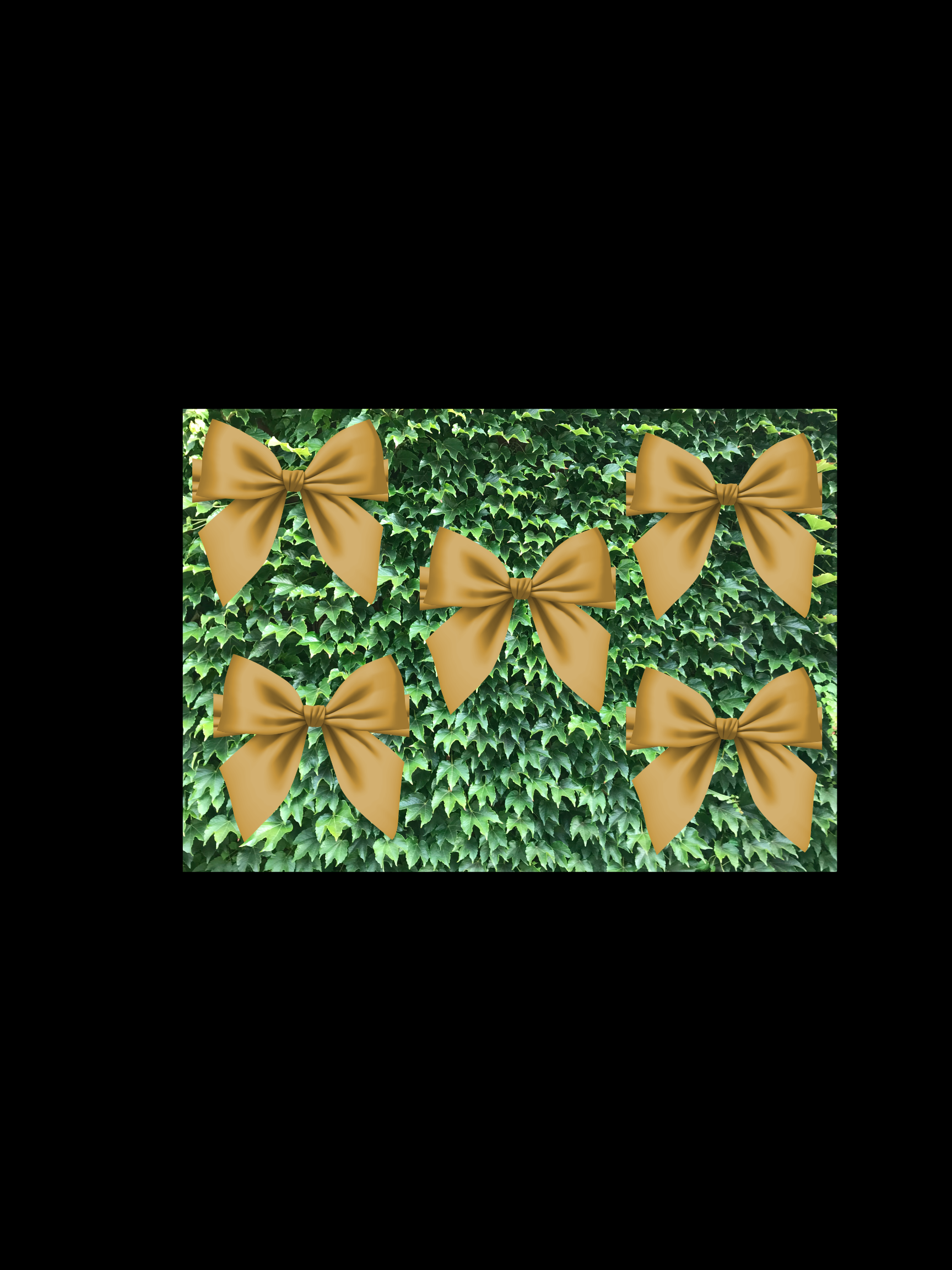 Bows