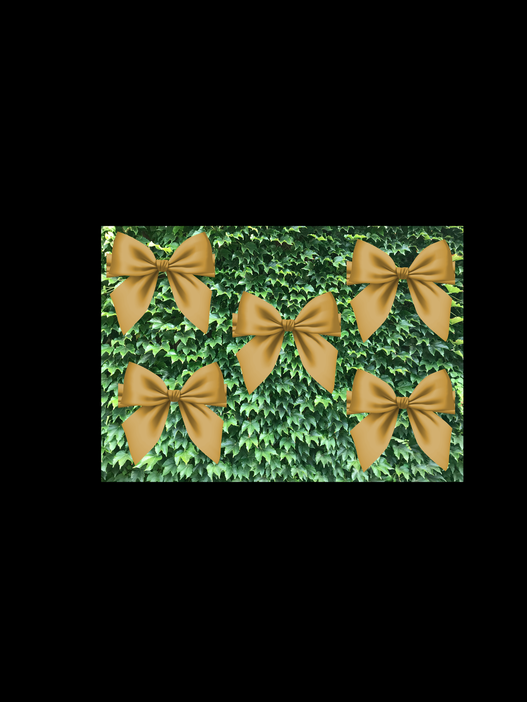Flowers – Brown Mushrooms